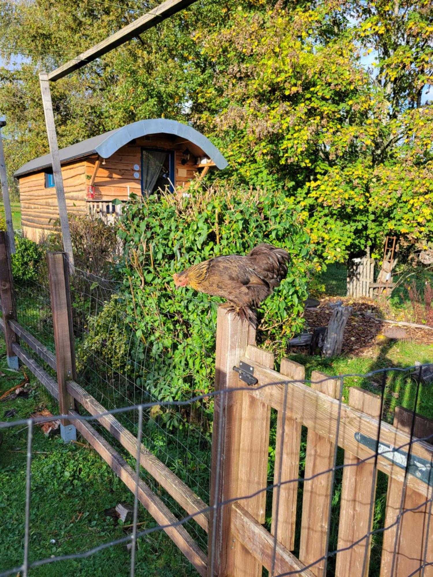 La Roulotte Tiny House Du Mond'Ideal Leval  Room photo